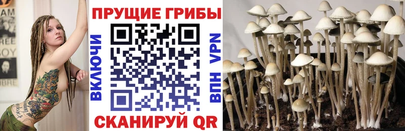 Купить закладки  Котово  Галлюциногенные грибы мухоморы 