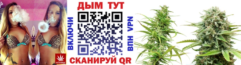 Марихуана VHQ  Купить закладки  Котово 